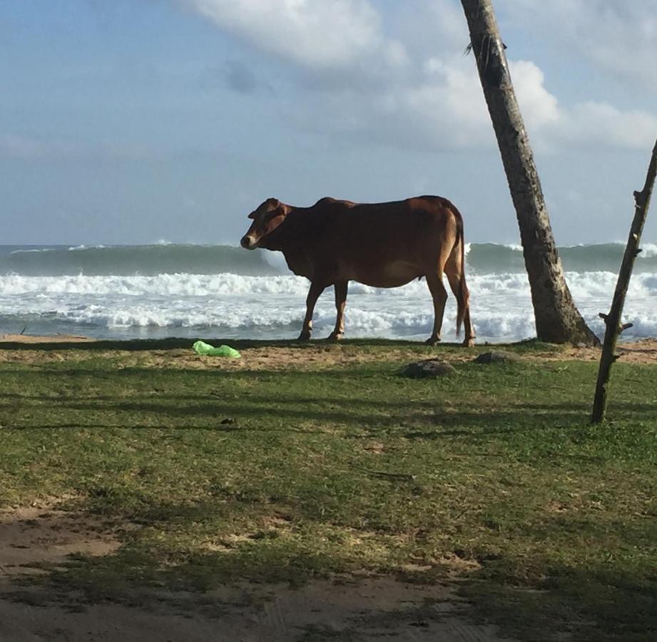 Hotel Sundance Surf Coconut Point Weligama Exterior foto